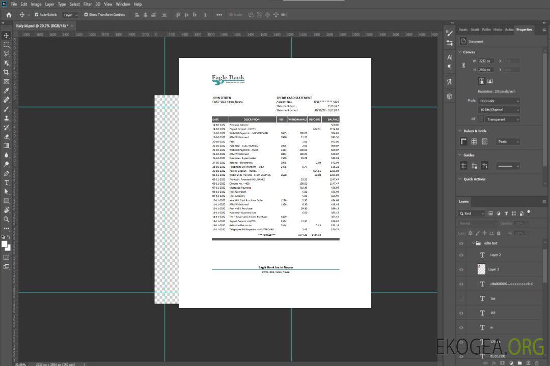 Modèle Excel et PDF de relevé bancaire de Nauru Eagle template Modèle Excel et PDF de relevé bancaire de Nauru Eagle template